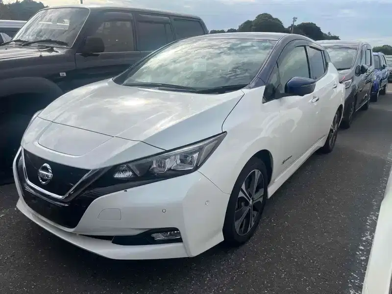 2017 Nissan Leaf Electric