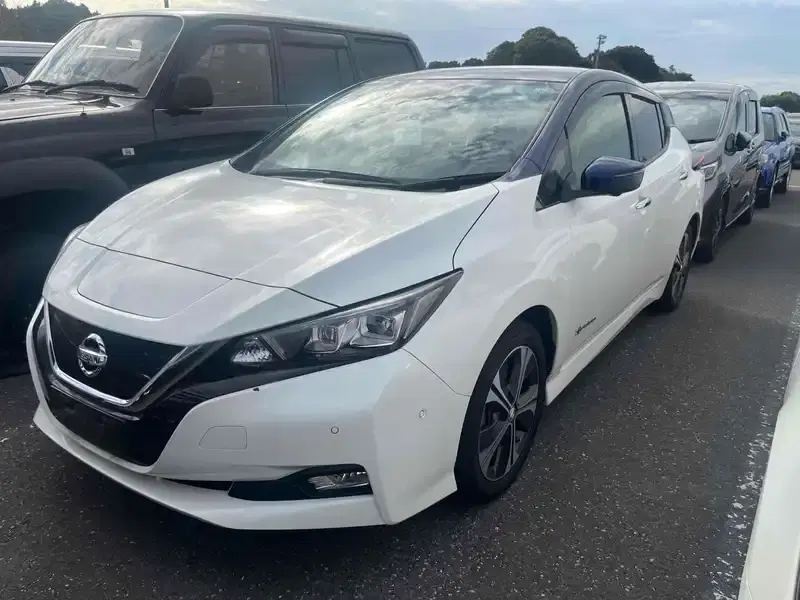 2017 Nissan LEAF 62,000 km